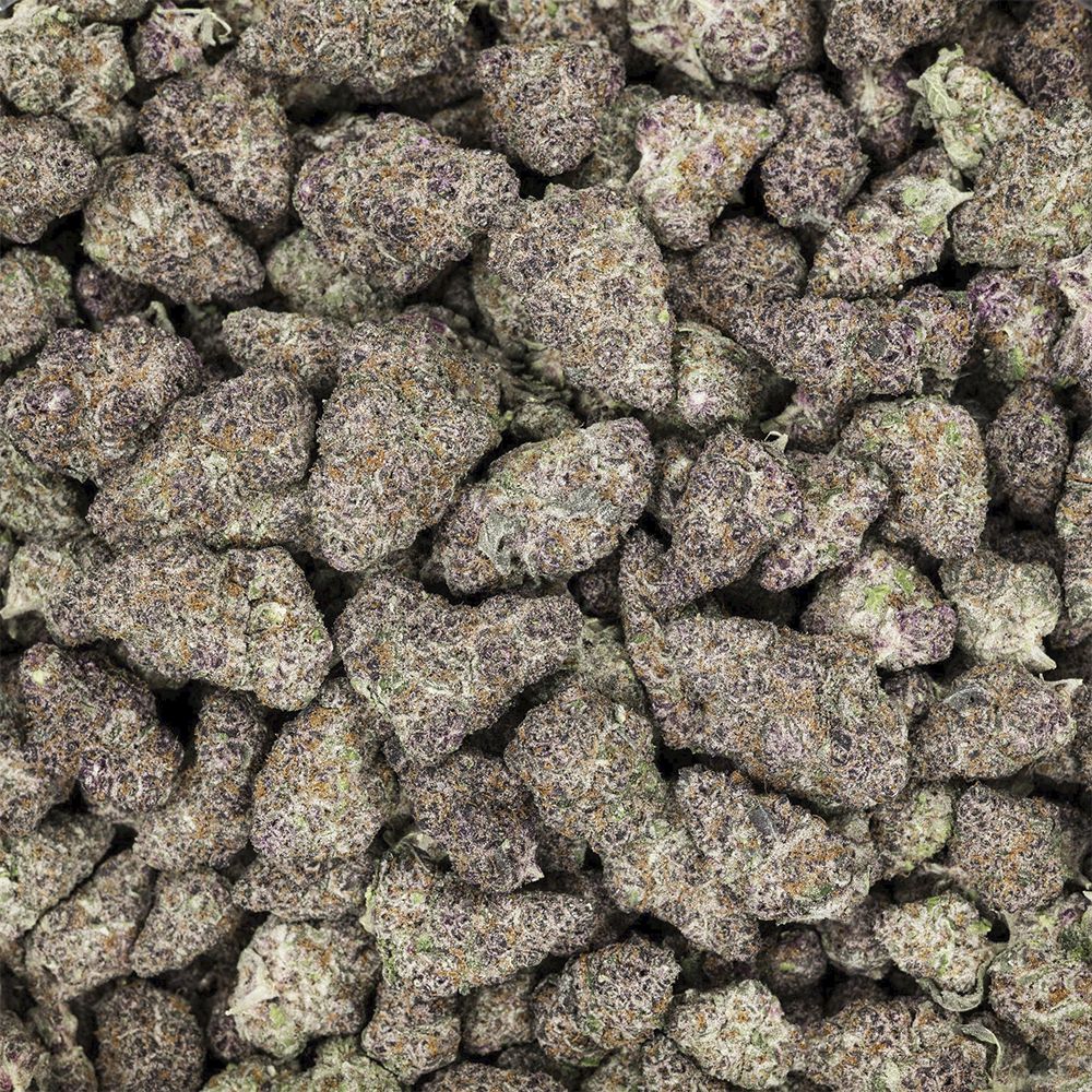 Revelry Premium Indoor THCA Pre-Rolls | 0.5g | 14pc Pack