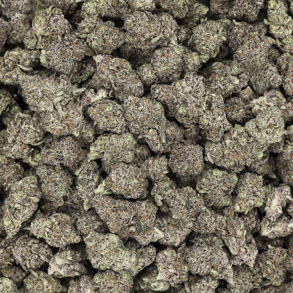 Revelry Premium Indoor THCA Pre-Rolls | 0.5g | 14pc Pack
