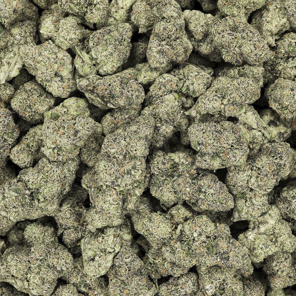 Revelry Premium Indoor THCA Pre-Rolls | 0.5g | 14pc Pack